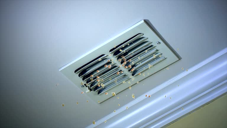 Best Ductwork Cleaning Services  in Western Springs, IL