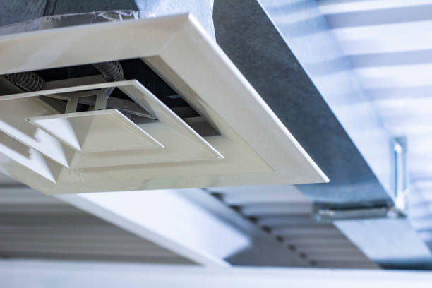 Best Home Air Vent Cleaning  in Western Springs, IL