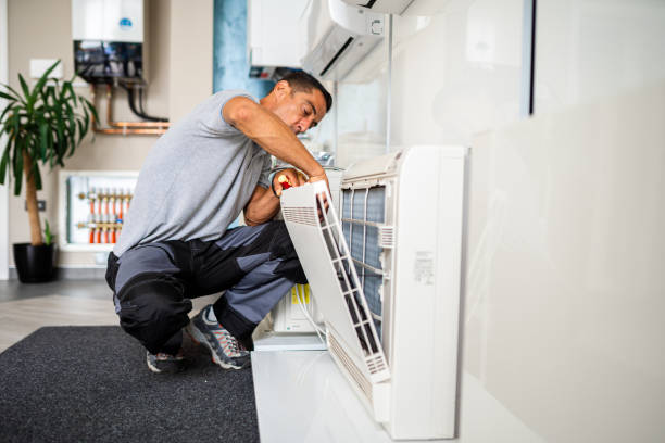 Best Affordable Air Duct Cleaning  in Western Springs, IL