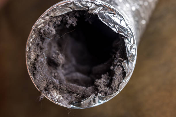 Best HVAC Maintenance and Cleaning  in Western Springs, IL