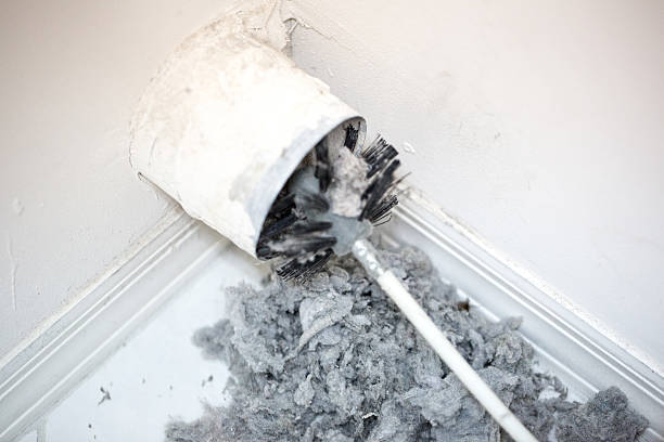 Best Air Vent Cleaning Services  in Western Springs, IL